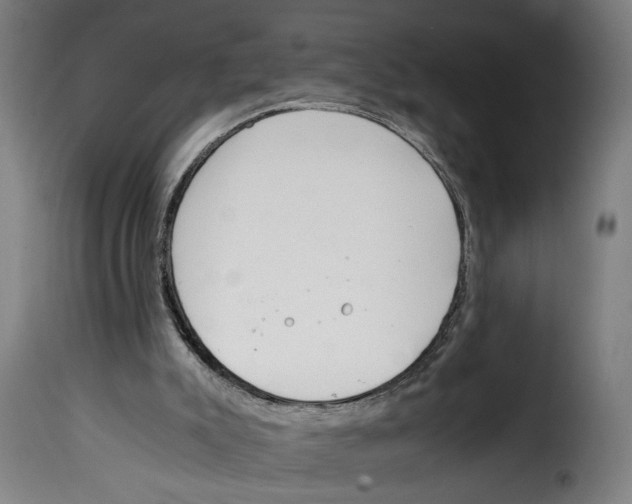 X0000115000007200911231215