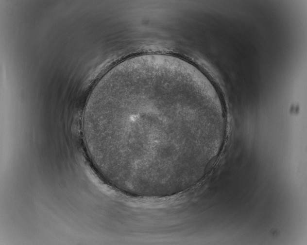 X0000115000009200911231215