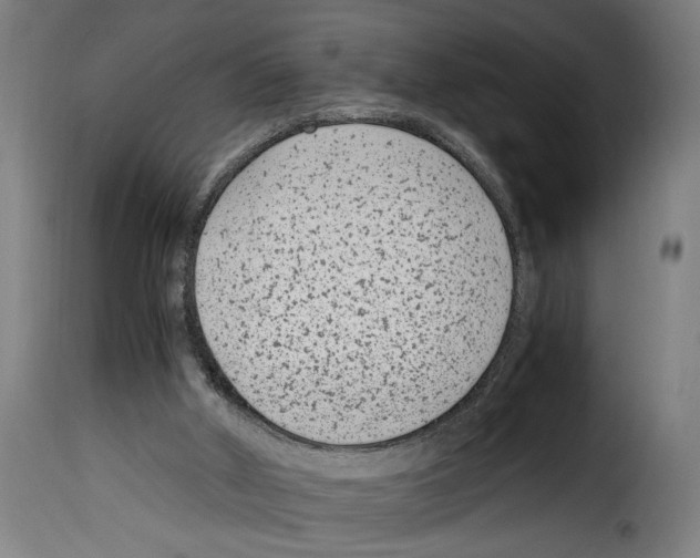 X0000115000010200911231215