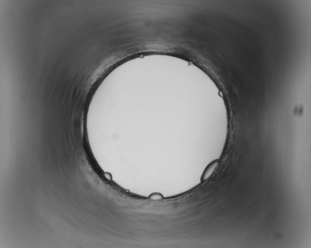 X0000115000011200911231215