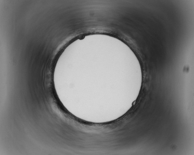 X0000115000012200911231215