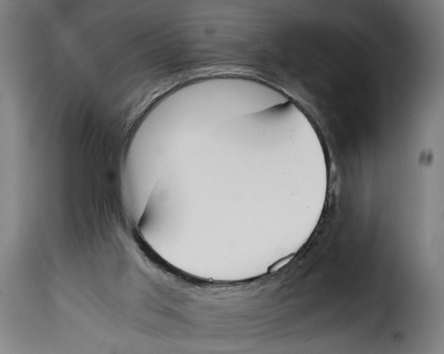 X0000115000013200911231215