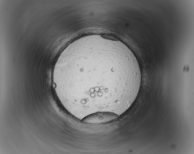 X0000115000014200911231215