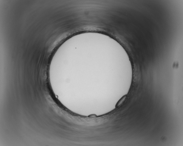 X0000115000015200911231215