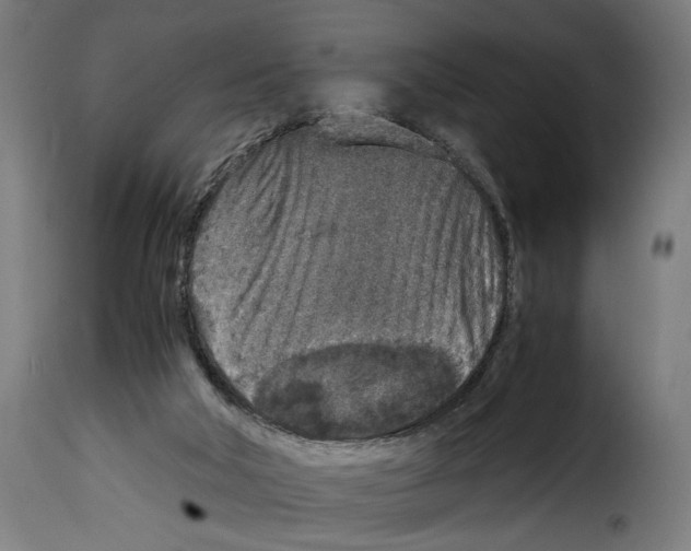 X0000115000018200911231215