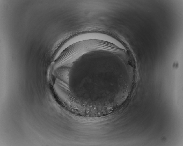 X0000115000019200911231215