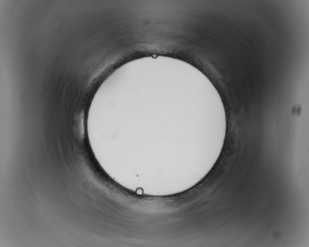 X0000115000020200911231215