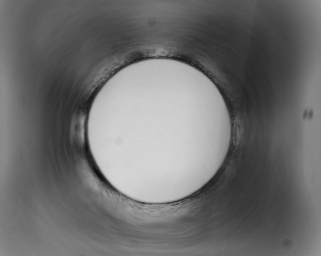 X0000115000022200911231215