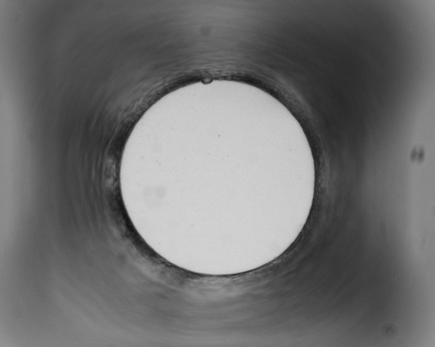 X0000115000025200911231215