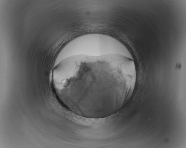 X0000115000027200911231215