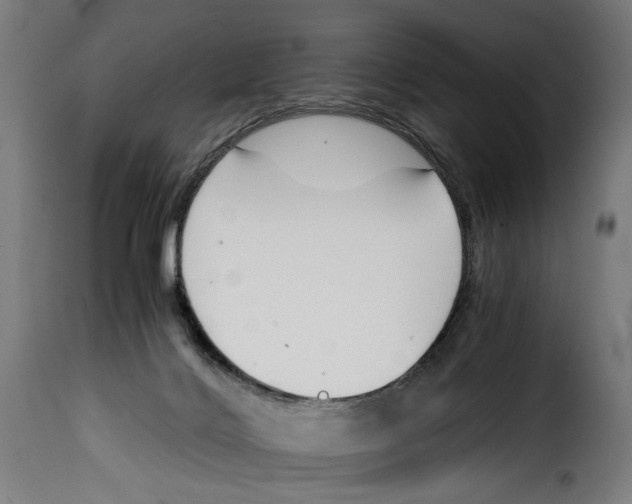 X0000115000028200911231215