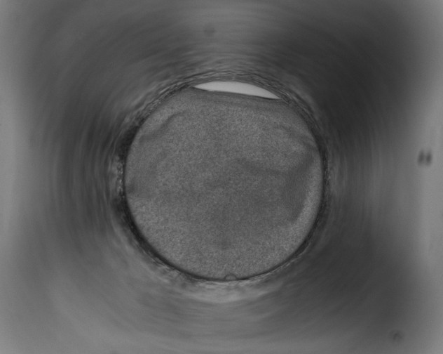 X0000115000029200911231215