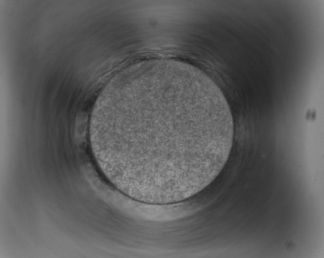 X0000115000030200911231215