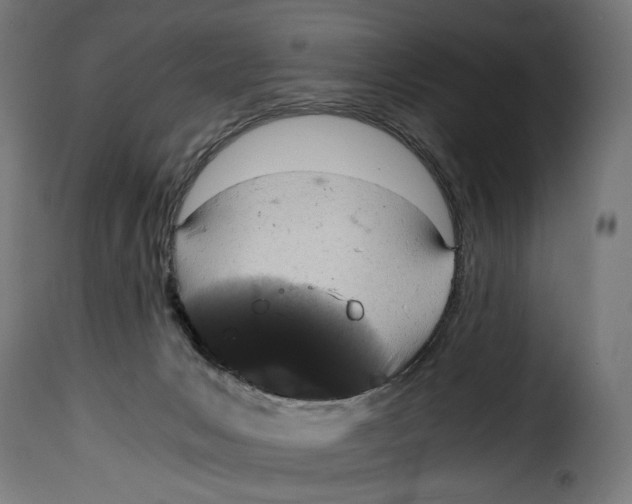 X0000115000031200911231215