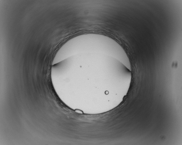 X0000115000033200911231215