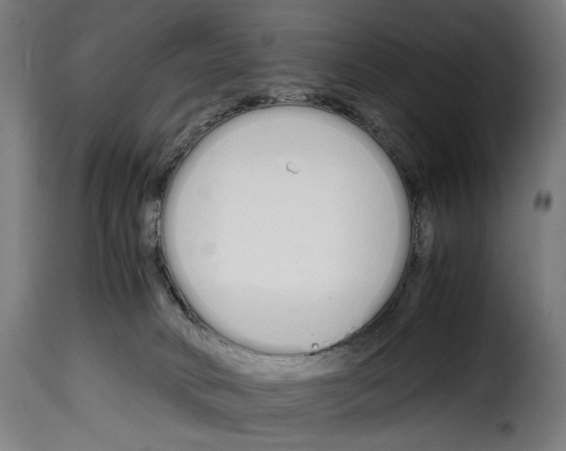 X0000115000034200911231215