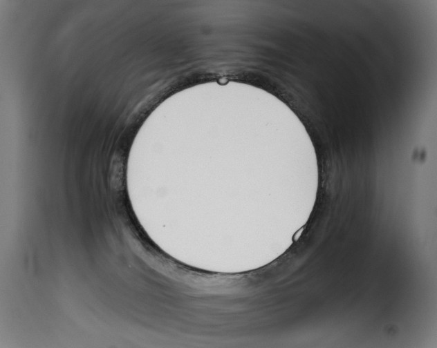 X0000115000036200911231215