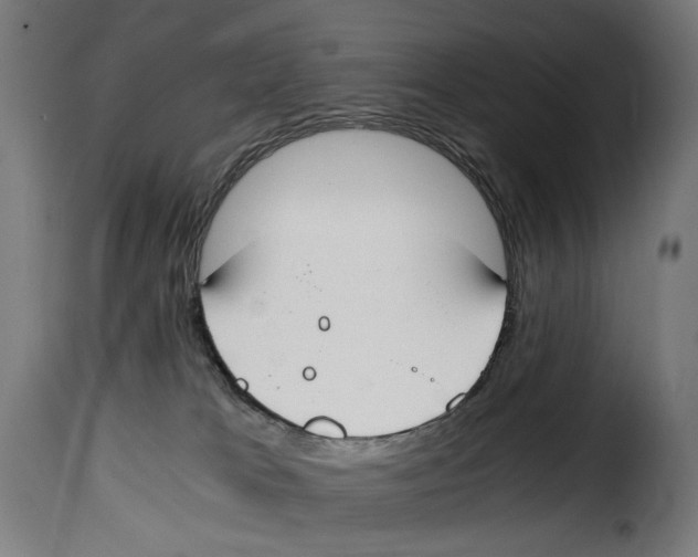 X0000115000037200911231215