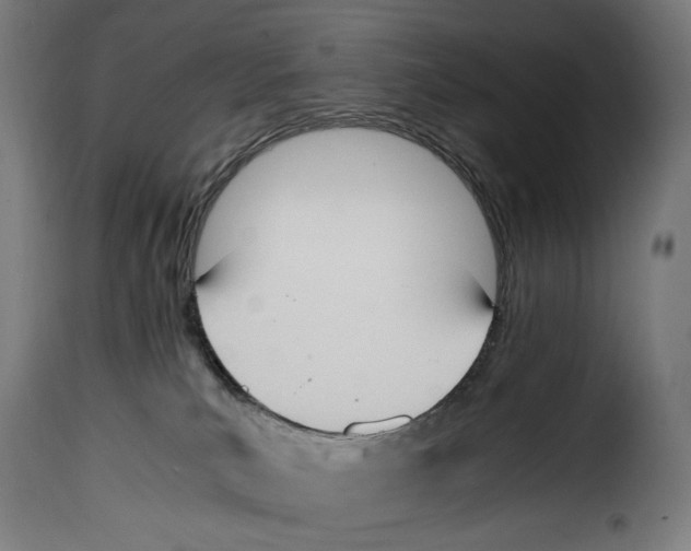 X0000115000039200911231214