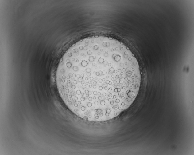 X0000115000042200911231214