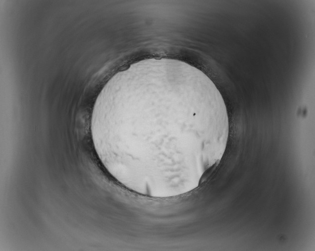 X0000115000043200911231214