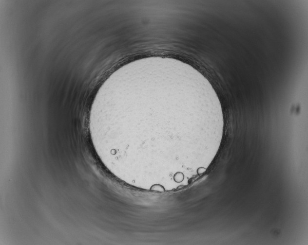 X0000115000044200911231214