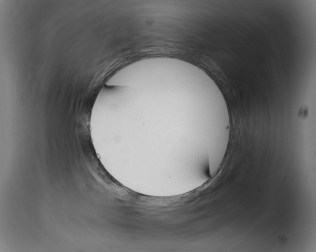 X0000115000045200911231214