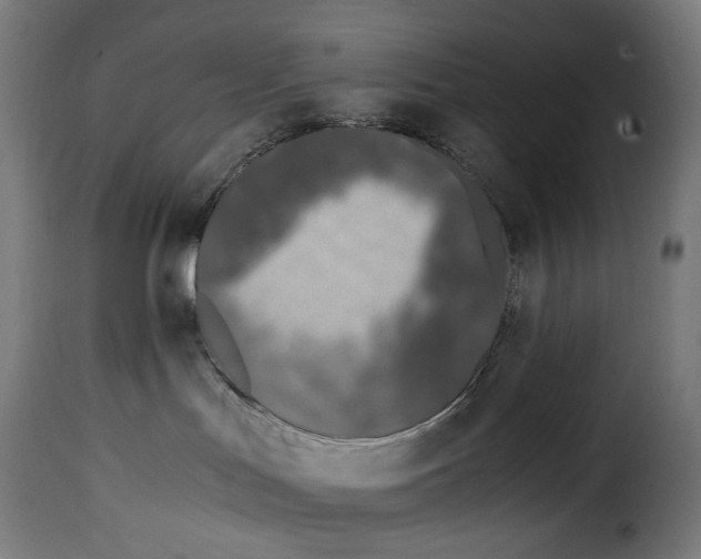 X0000115000047200911231214