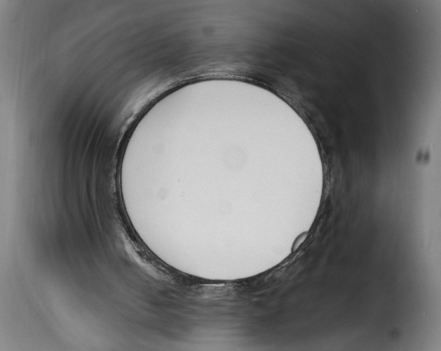 X0000115000050200911231214