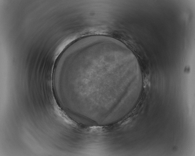 X0000115000052200911231214