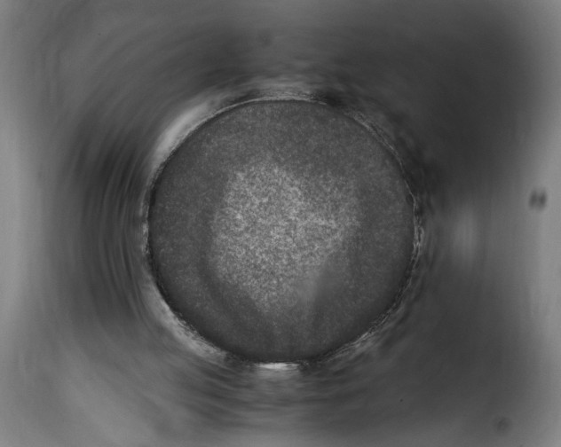 X0000115000053200911231214