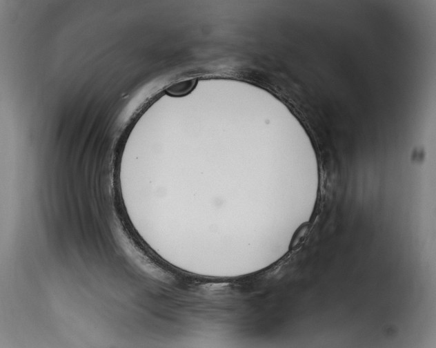 X0000115000054200911231214