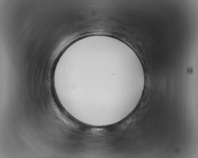 X0000115000055200911231214