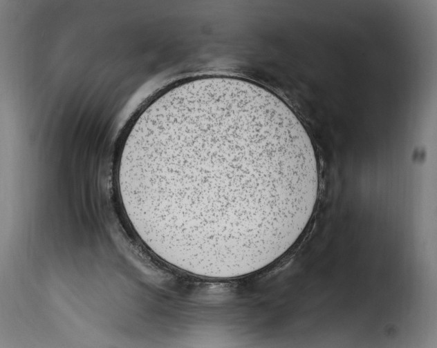 X0000115000056200911231214