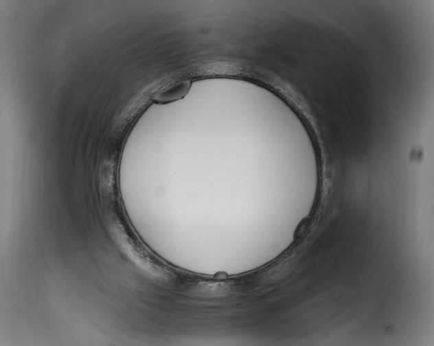 X0000115000057200911231214