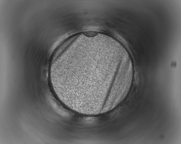 X0000115000059200911231214