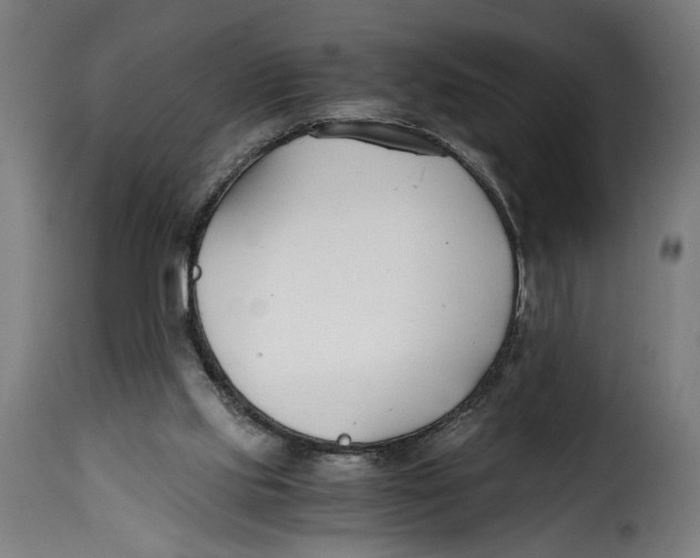 X0000115000061200911231214