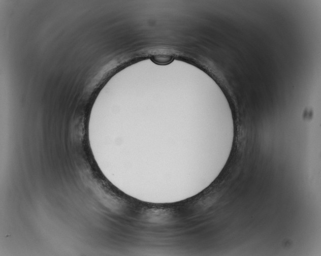 X0000115000063200911231214