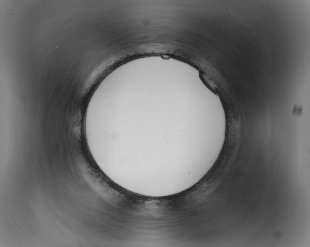 X0000115000064200911231214