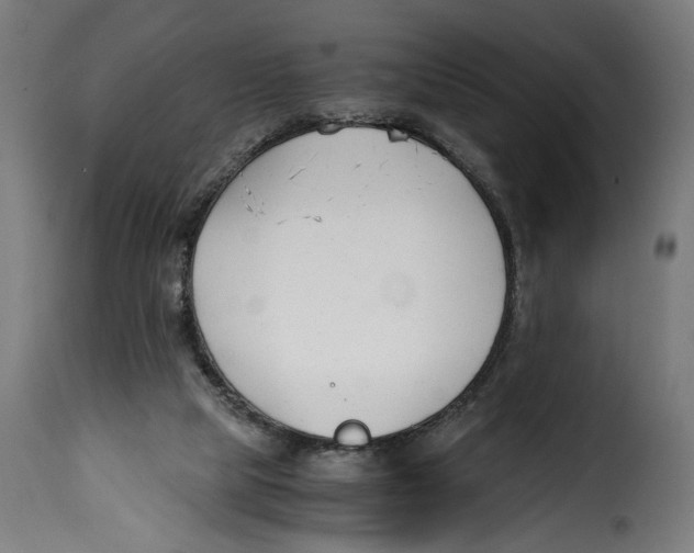 X0000115000065200911231214