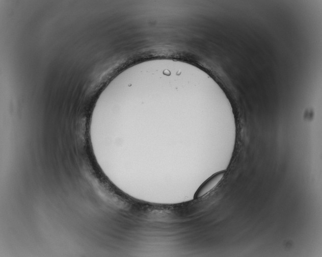 X0000115000066200911231214