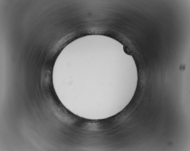 X0000115000071200911231214