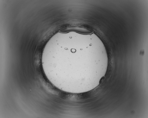 X0000115000074200911231214