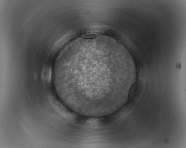 X0000115000076200911231214