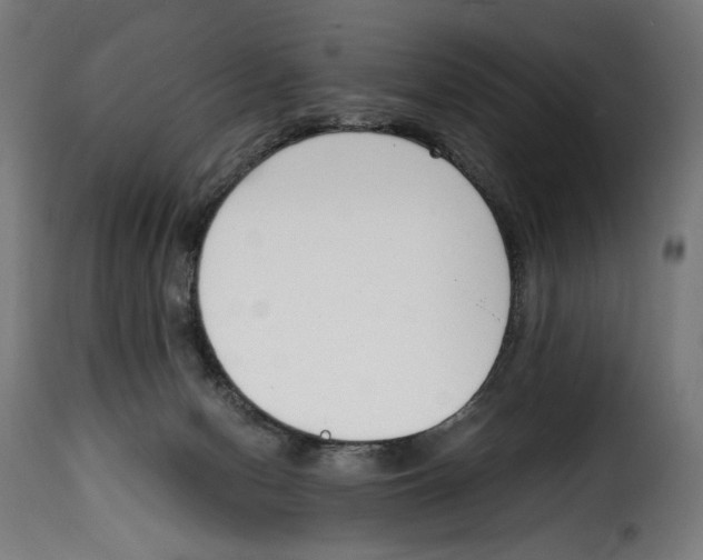 X0000115000078200911231214