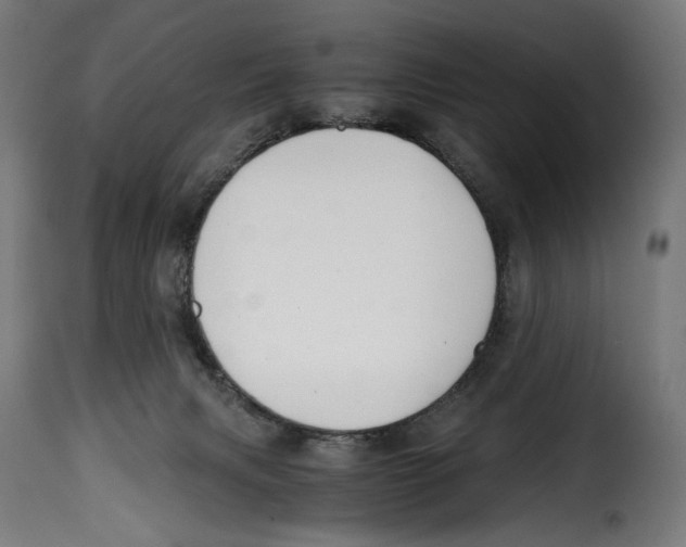 X0000115000079200911231214