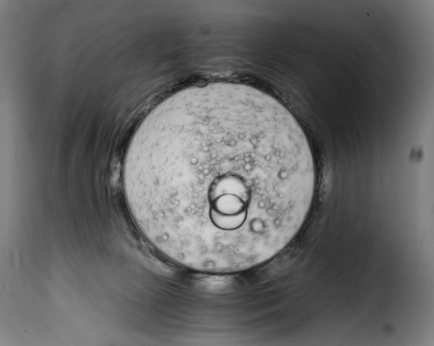 X0000115000081200911231214