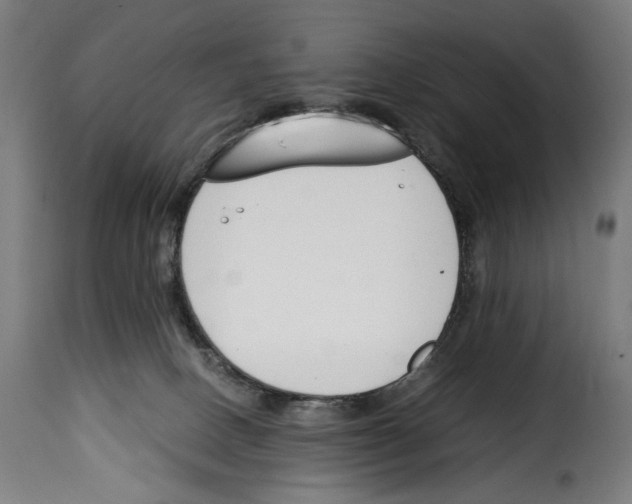 X0000115000082200911231214