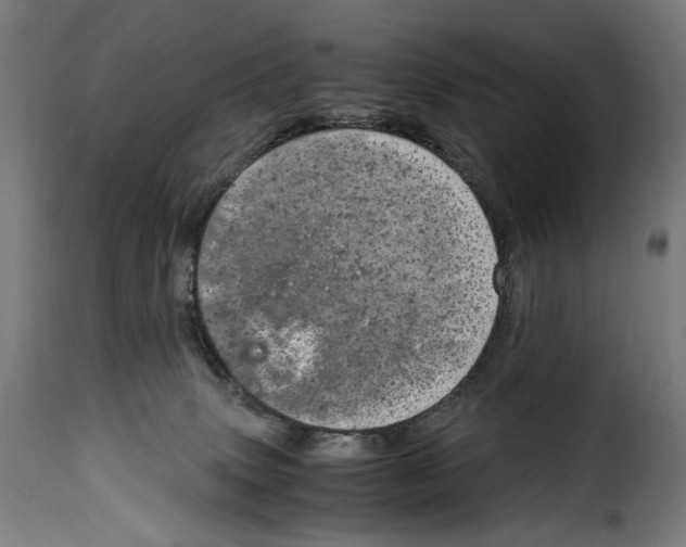 X0000115000083200911231214