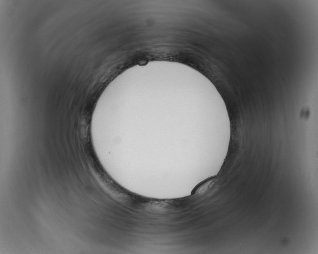 X0000115000086200911231214